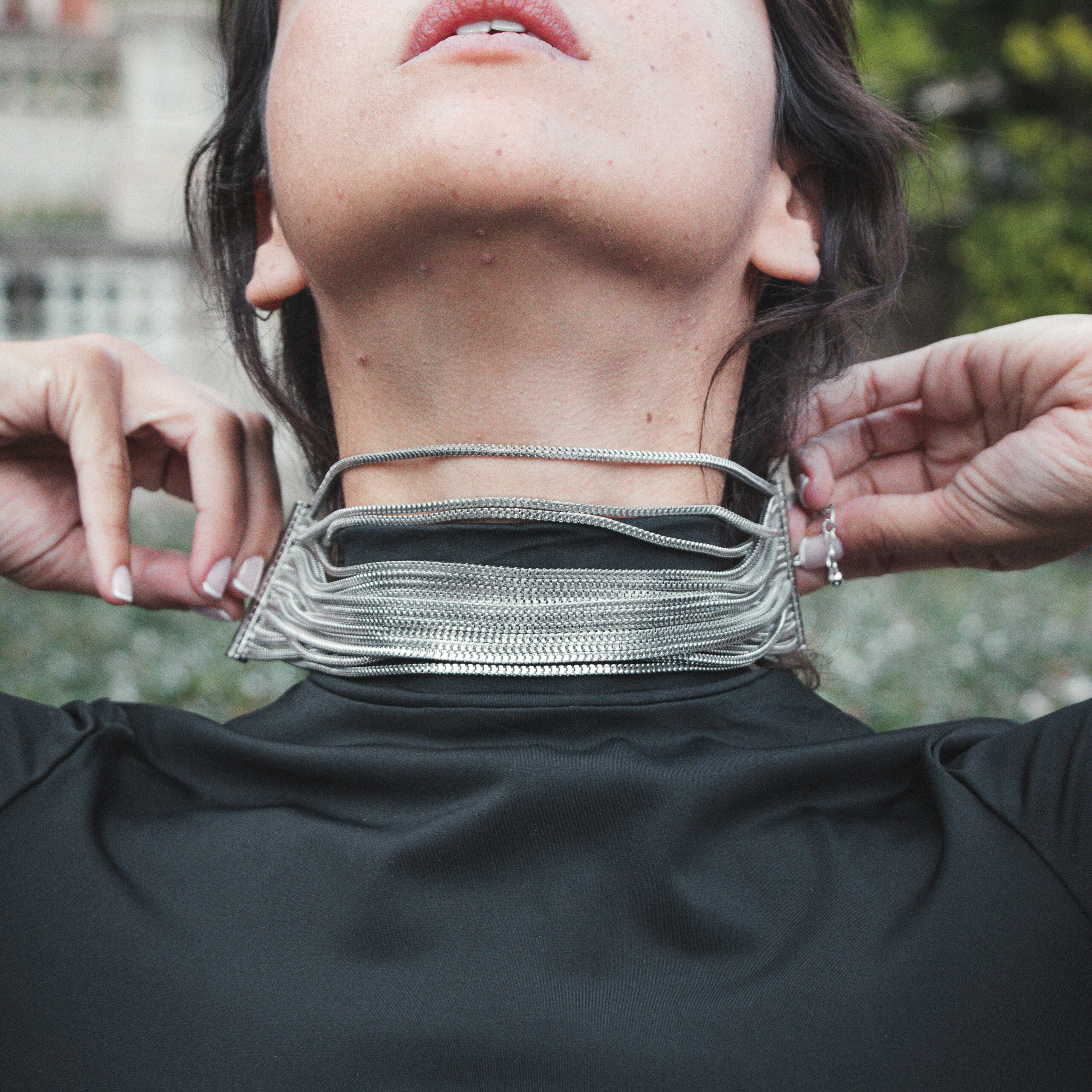 Serpiente de Metal - Imagen 3